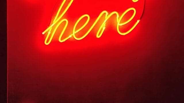 a neon sign in a bar in porto that reads 'i belong here'