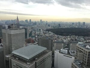 Tokyo skyline